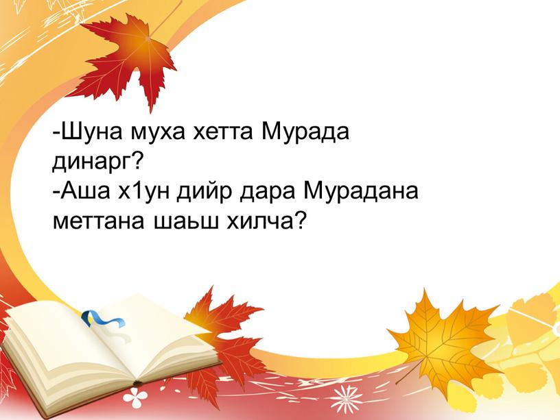 Шуна муха хетта Мурада динарг? -Аша х1ун дийр дара