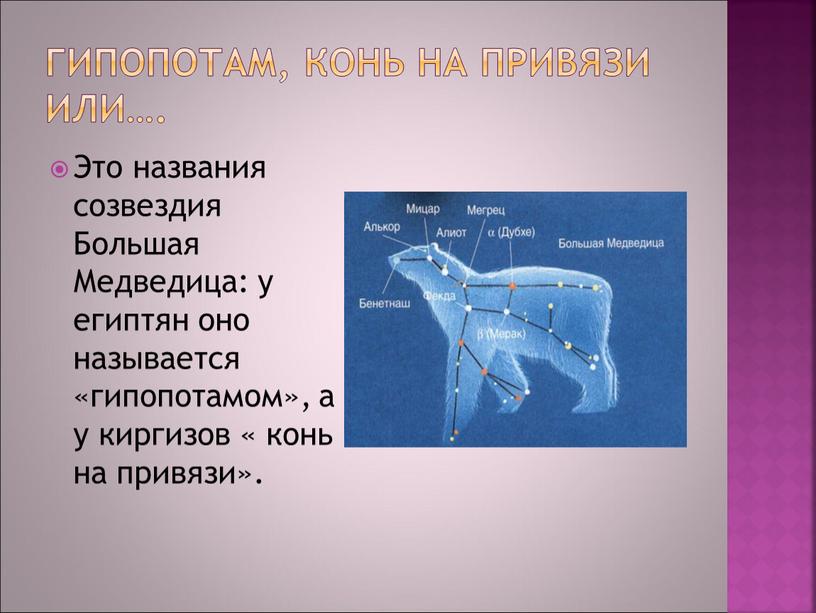 Гипопотам, конь на привязи или…