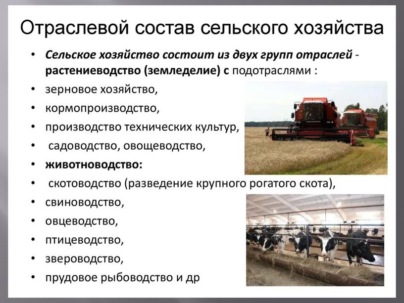 Презентация по Сельскохозяйственному труду:"Сельскохозяйственный труд и его значение" 5 класс.