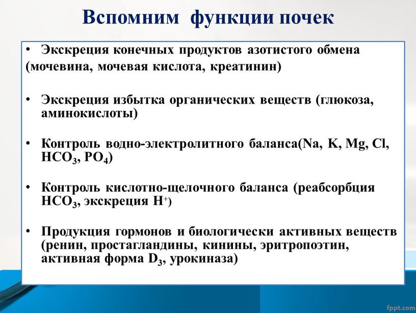 Вспомним функции почек Экскреция конечных продуктов азотистого обмена (мочевина, мочевая кислота, креатинин)