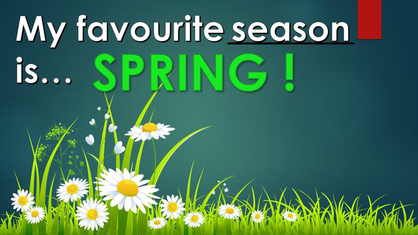 My favourite is… SPRING ! season
