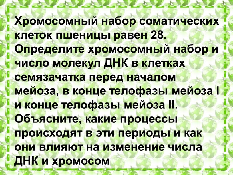 Хромосомный набор соматических клеток пшеницы равен 28