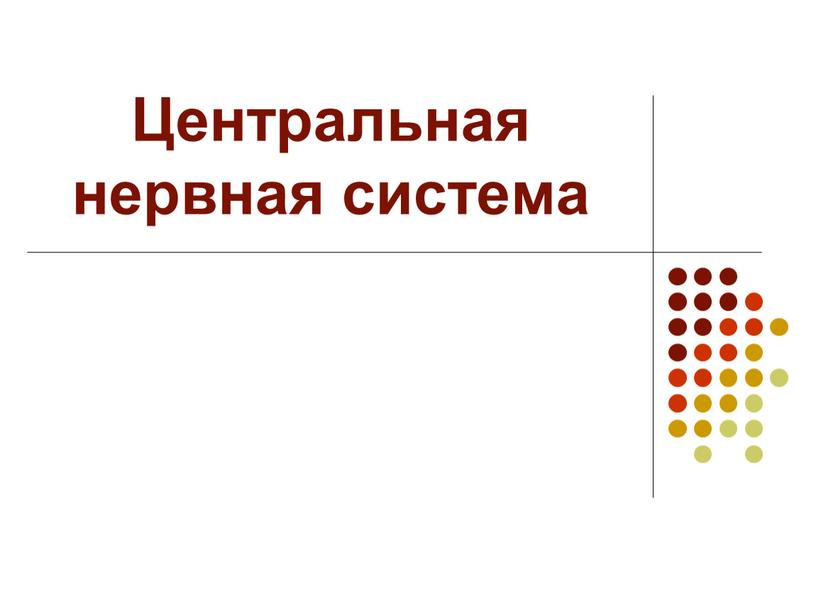 Центральная нервная система