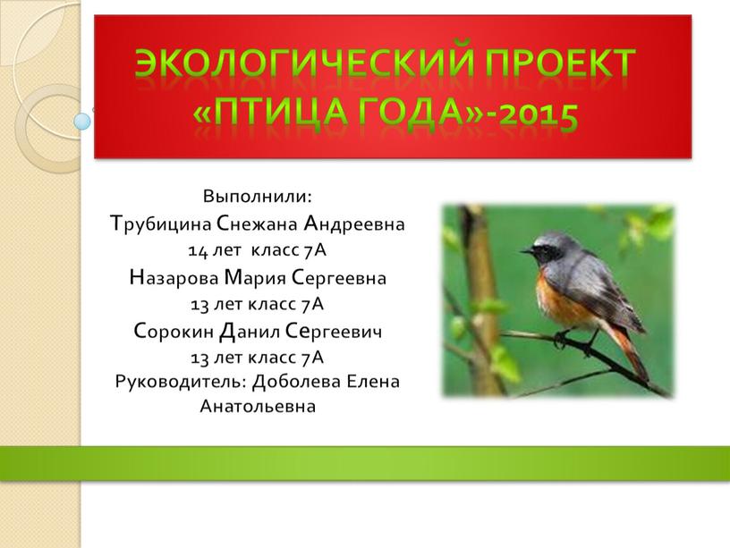 Экологический проект «Птица года»-2015