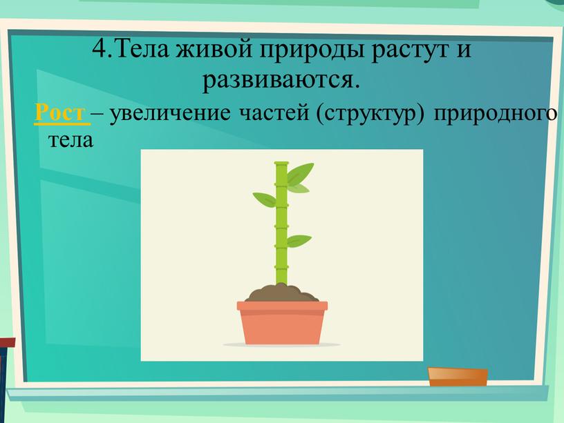 Тела живой природы растут и развиваются