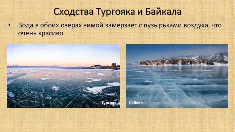 Сходства Тургояка и Байкала Вода в обоих озёрах зимой замерзает с пузырьками воздуха, что очень красиво