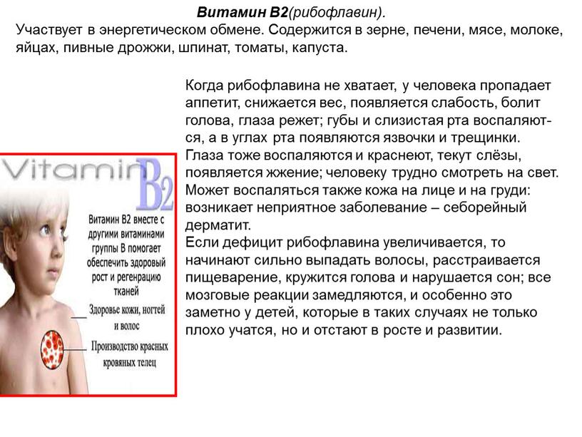 Витамин В2 (рибофлавин). Участвует в энергетическом обмене