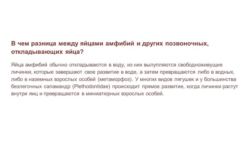 В чем разница между яйцами амфибий и других позвоночных, откладывающих яйца?