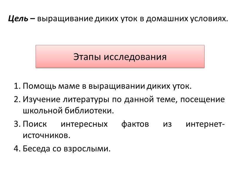 Этапы исследования Помощь маме в выращивании диких уток