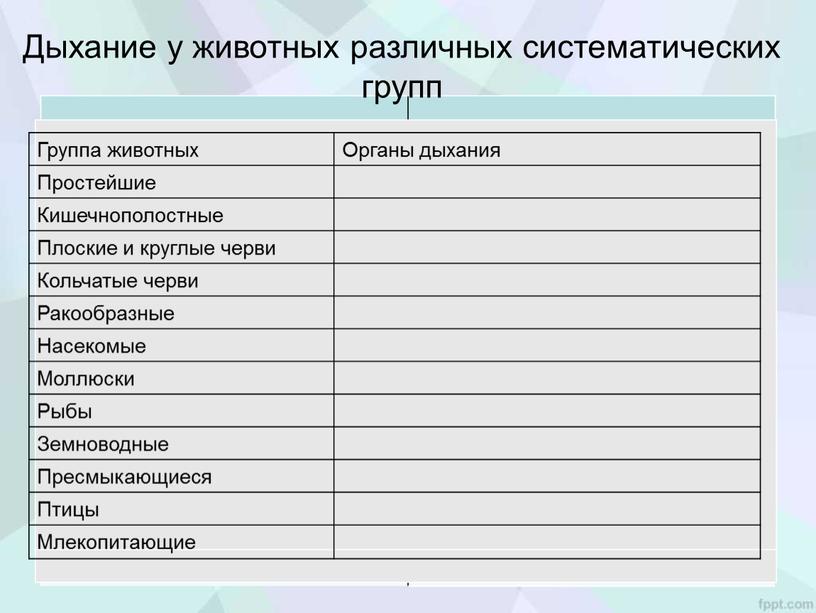 Дыхание у животных различных систематических групп