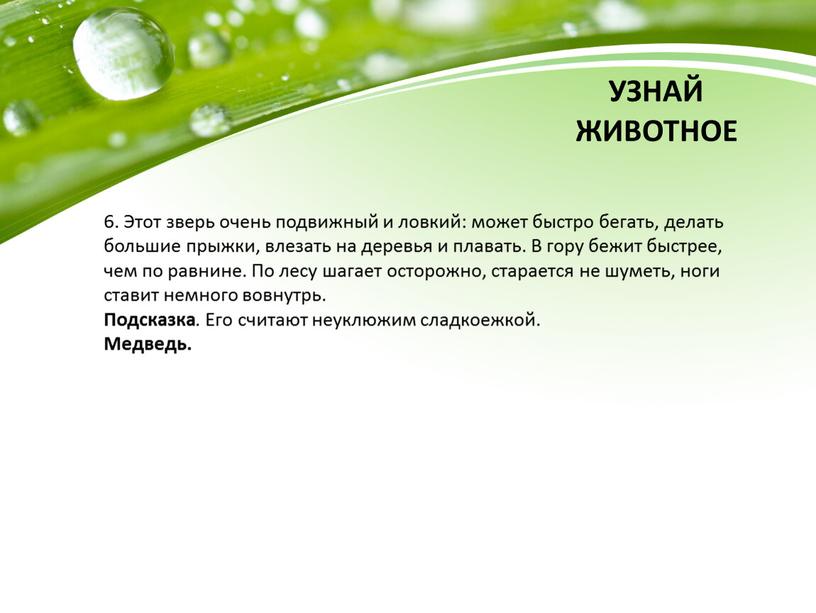 УЗНАЙ ЖИВОТНОЕ 6. Этот зверь очень подвижный и ловкий: может быстро бегать, делать большие прыжки, влезать на деревья и плавать