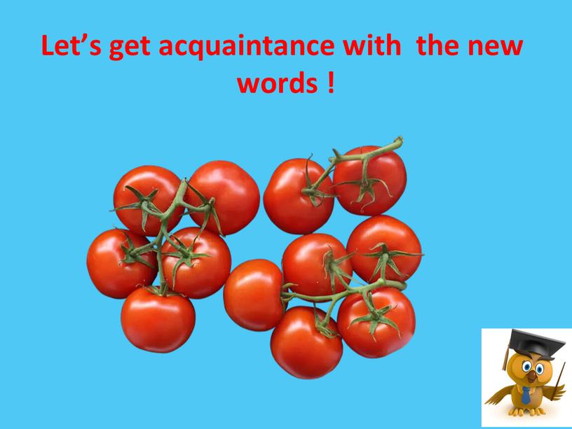 Let’s get acquaintance with the new words !