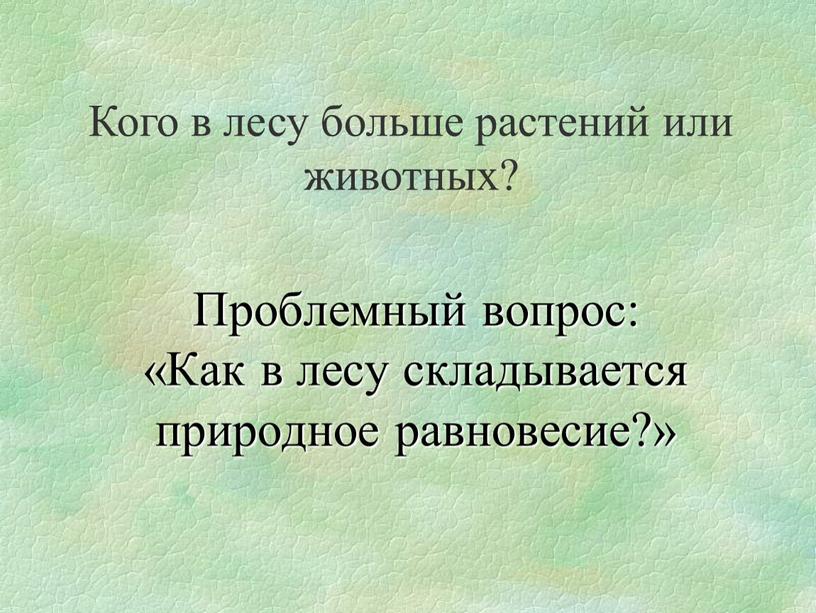 Проблемный вопрос: «Как в лесу складывается природное равновесие?»