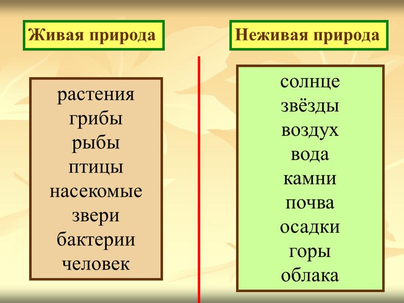 Живая природа Неживая природа солнце звёзды воздух вода камни почва осадки горы облака растения грибы рыбы птицы насекомые звери бактерии человек