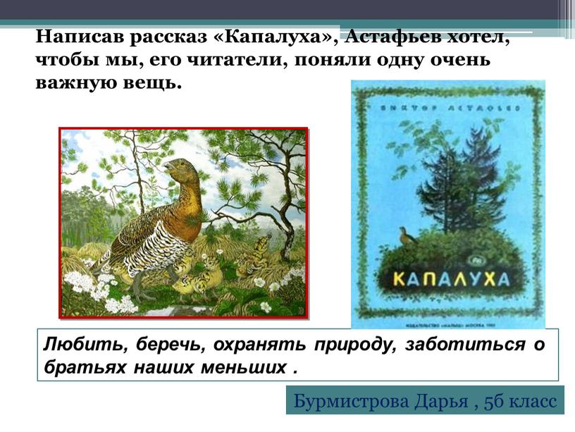 Написав рассказ «Капалуха», Астафьев хотел, чтобы мы, его читатели, поняли одну очень важную вещь