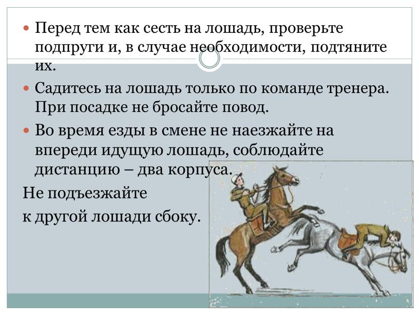 Перед тем как сесть на лошадь, проверьте подпруги и, в случае необходимости, подтяните их