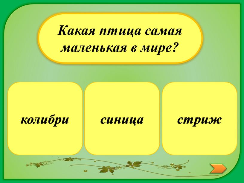 Какая птица самая маленькая в мире? стриж синица