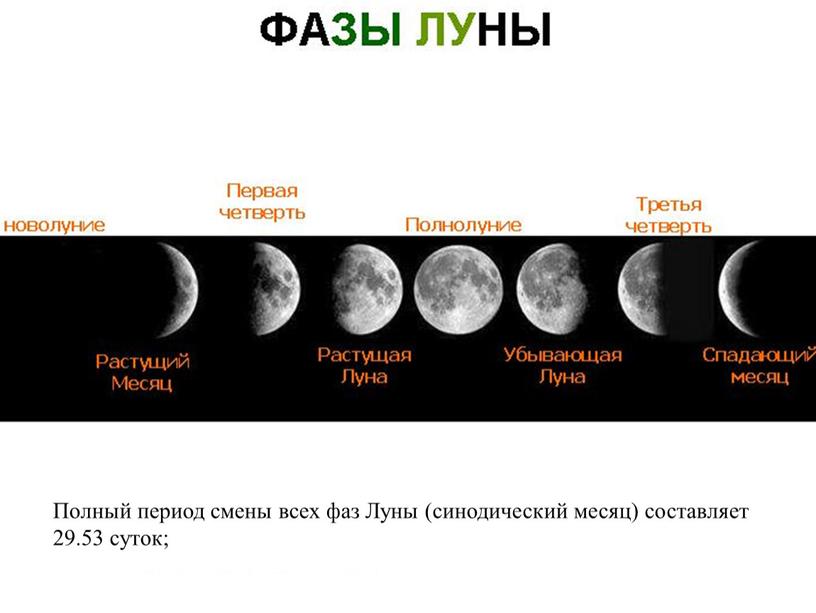 Полный период смены всех фаз Луны (синодический месяц) составляет 29