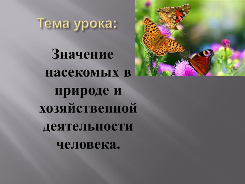 Тема урока: Значение насекомых в природе и хозяйственной деятельности человека