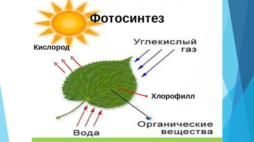 Химия в жизни человека