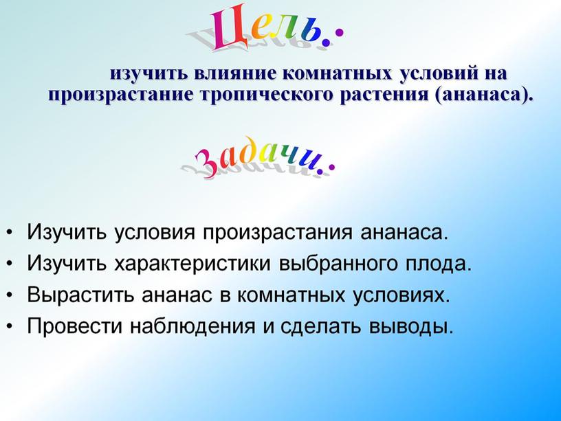 Исследовательский проект: «Влияние комнатных условий на произрастание тропического растения»