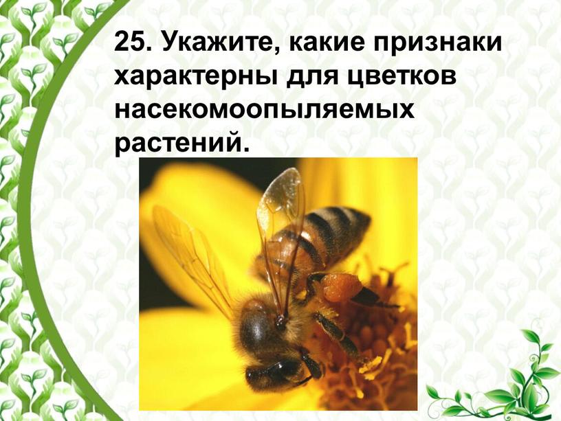 Укажите, какие признаки характерны для цветков насекомоопыляемых растений