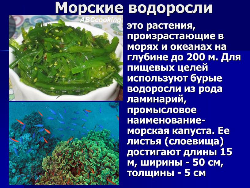 Морские водоросли это растения, произрастающие в морях и океанах на глубине до 200 м