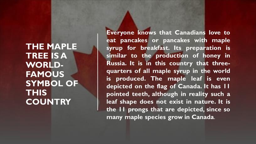 The maple tree is a world-famous symbol of this country