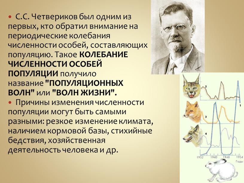 С.С. Четвериков был одним из первых, кто обратил внимание на периодические колебания численности особей, составляющих популяцию