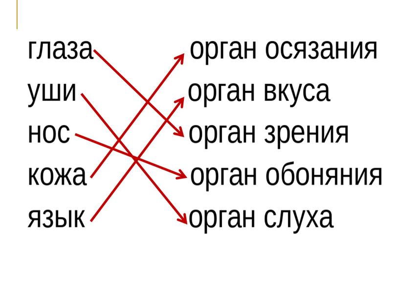 Урок окружающего мира "Наши помощники - органы чувств"