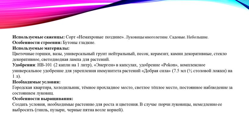 Используемые саженцы: Сорт «Немахровые поздние»