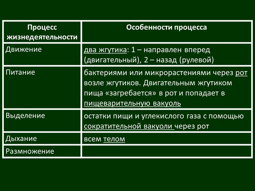 Процесс жизнедеятельности Особенности процесса