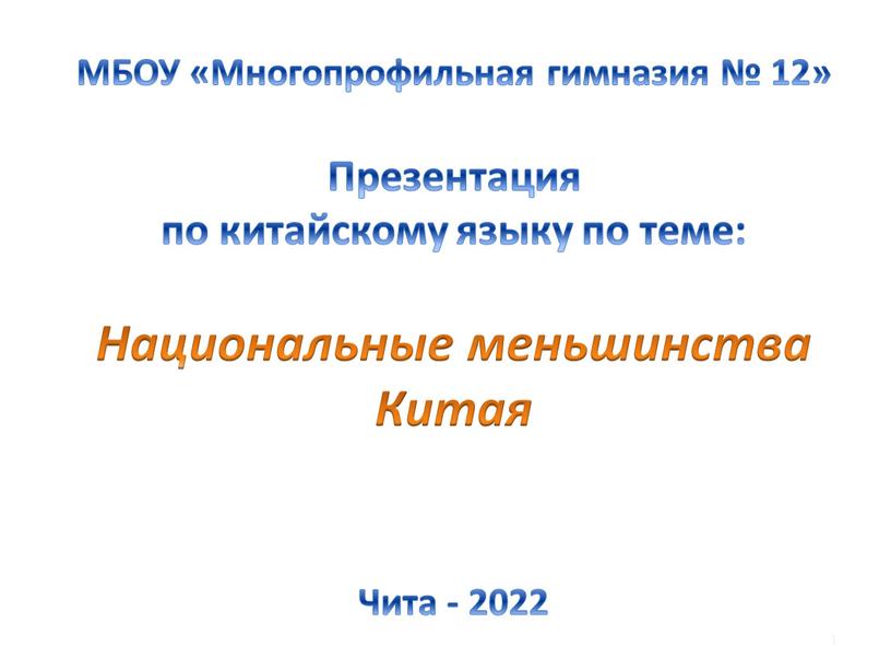 МБОУ «Многопрофильная гимназия № 12»