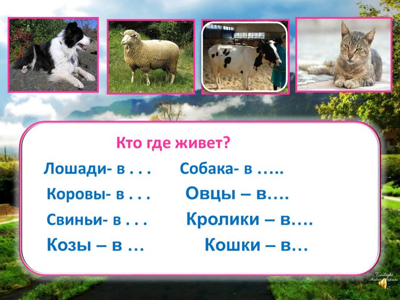 Кто где живет? Лошади- в .