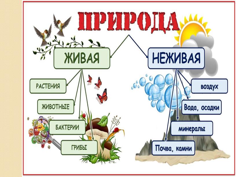 Презентация к уроку окружающего мира 3 класс по теме "Человек - часть природы"