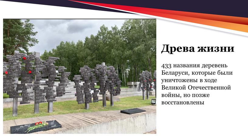 Древа жизни 433 названия деревень