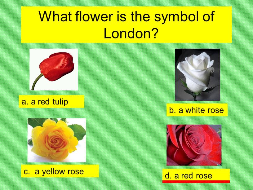 What flower is the symbol of London? d