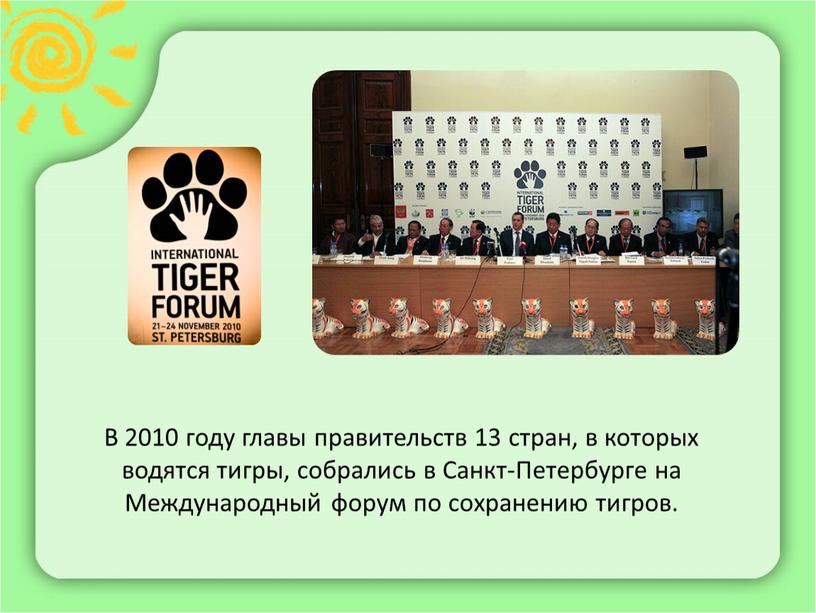 В 2010 году главы правительств 13 стран, в которых водятся тигры, собрались в