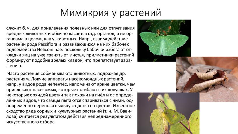 Мимикрия у растений слу­жит б. ч