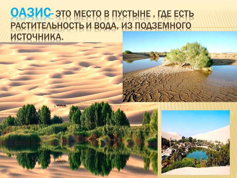 ОАЗИС- ЭТО Место в пустыне , где есть растительность и вода,