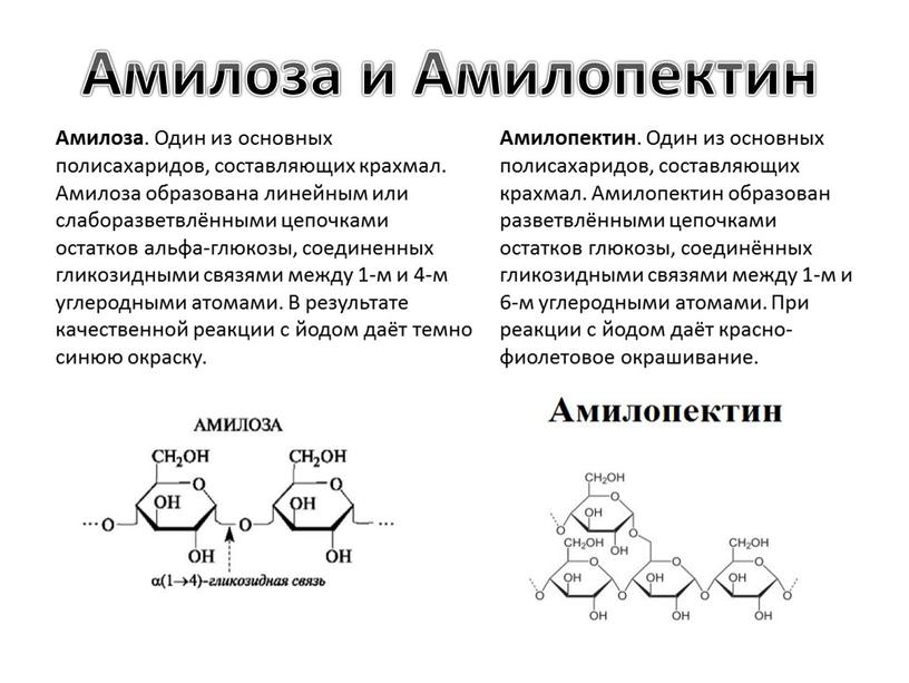 Амилоза и Амилопектин Амилоза