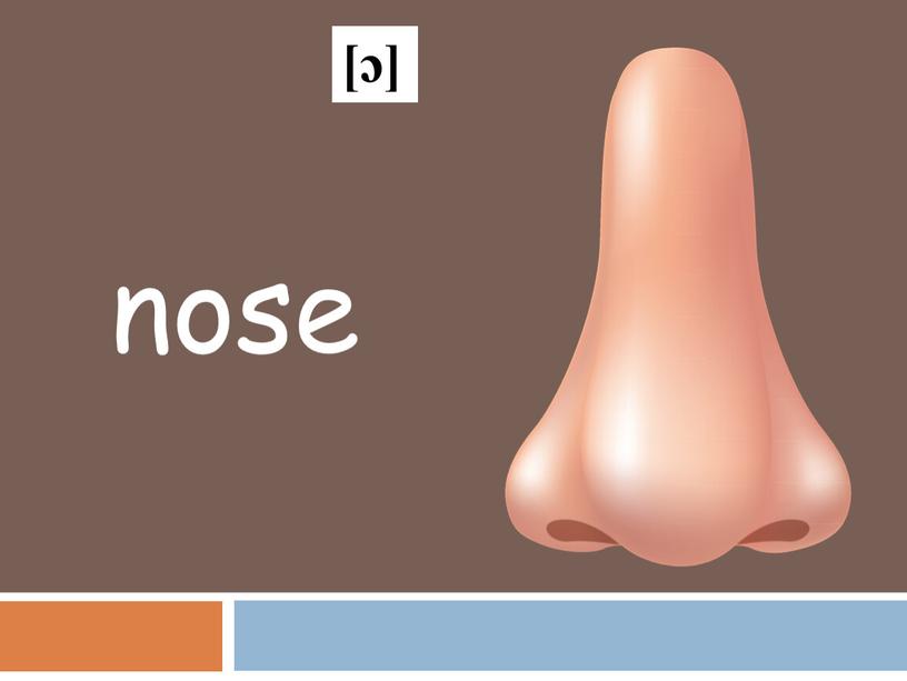 nose [ɔ]
