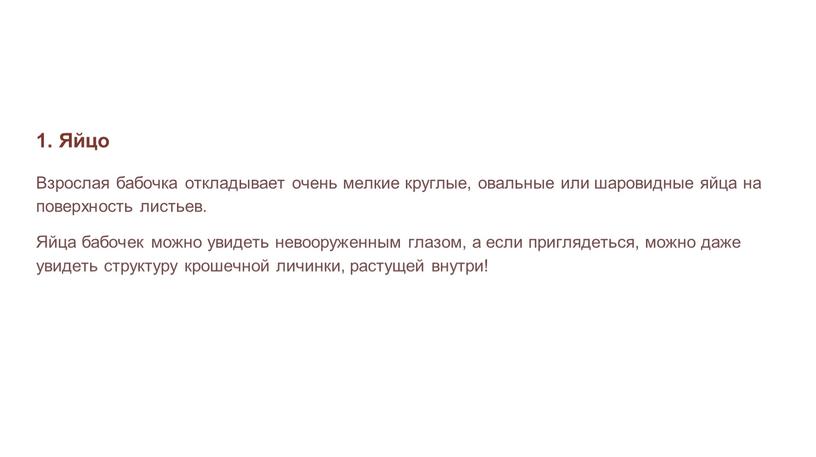 Яйцо Взрослая бабочка откладывает очень мелкие круглые, овальные или шаровидные яйца на поверхность листьев