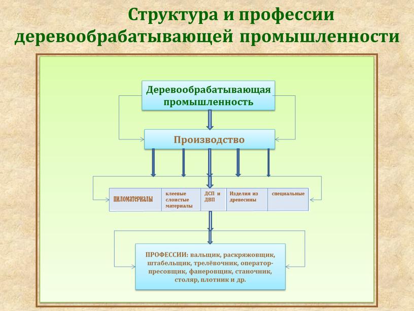 Структура и профессии деревообрабатывающей промышленности