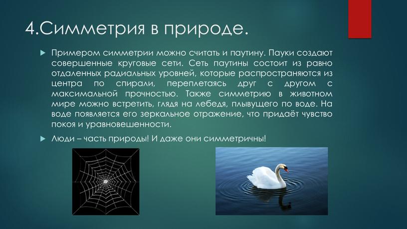 Симметрия в природе. Примером симметрии можно считать и паутину