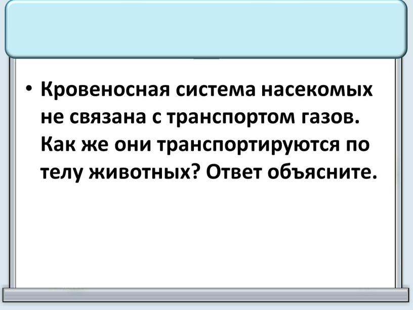 Кровеносная система насекомых не связана с транспортом газов