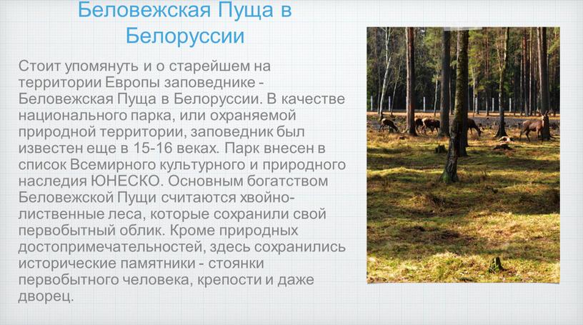 Беловежская Пуща в Белоруссии Стоит упомянуть и о старейшем на территории