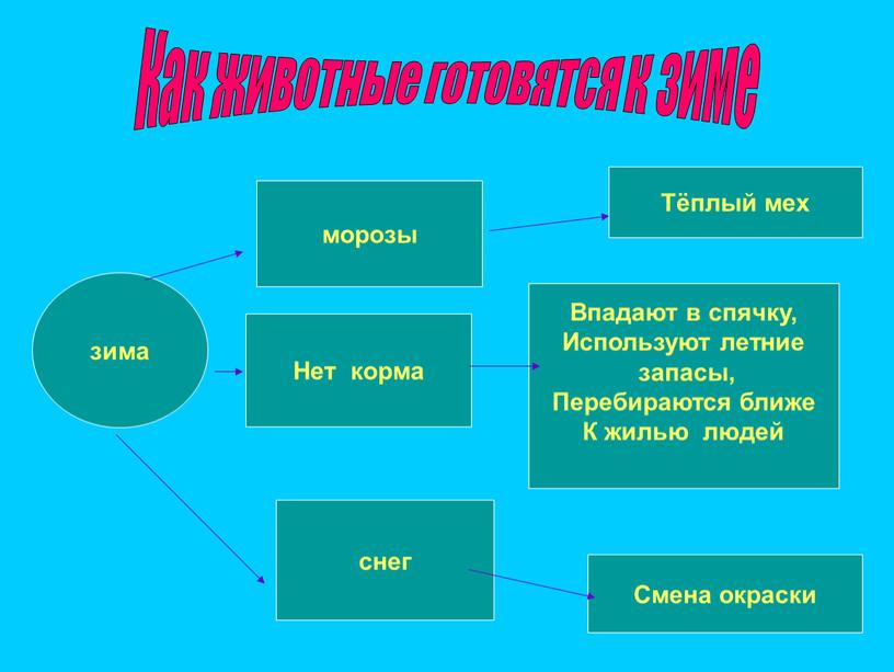 Как животные готовятся к зиме зима морозы