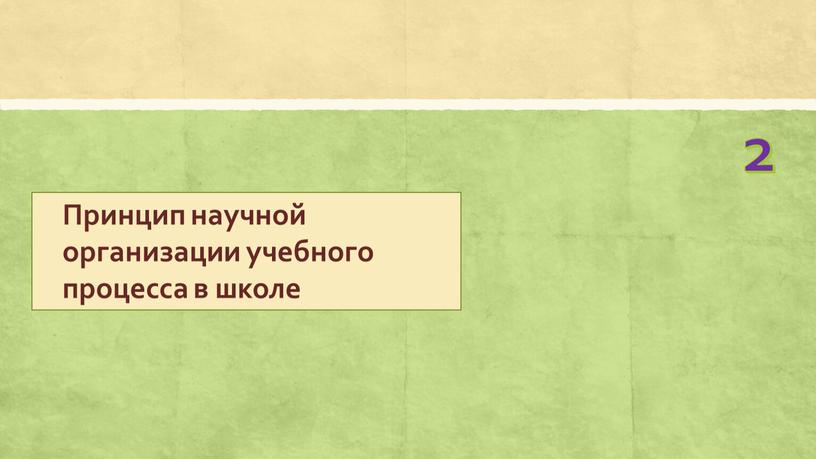 Принцип научной организации учебного процесса в школе