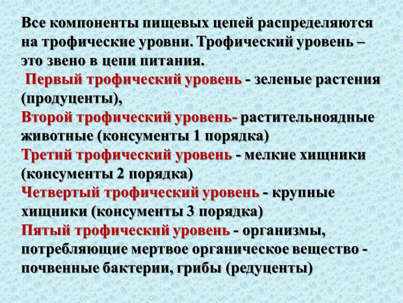 Все компоненты пищевых цепей распределяются на трофические уровни